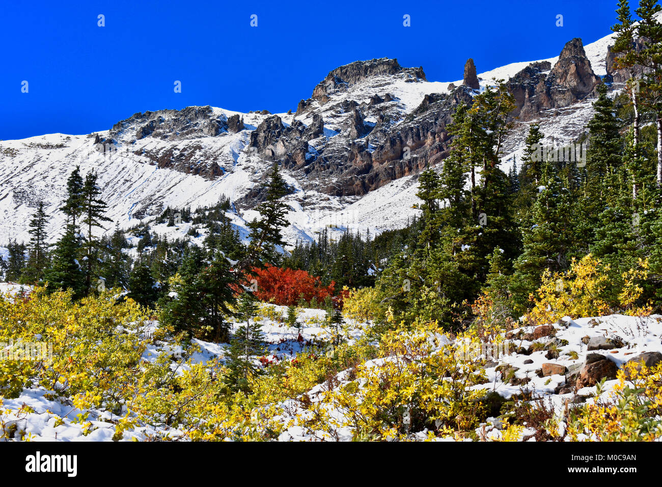 Glacier Basin, Mount Rainier Stock Photo Alamy