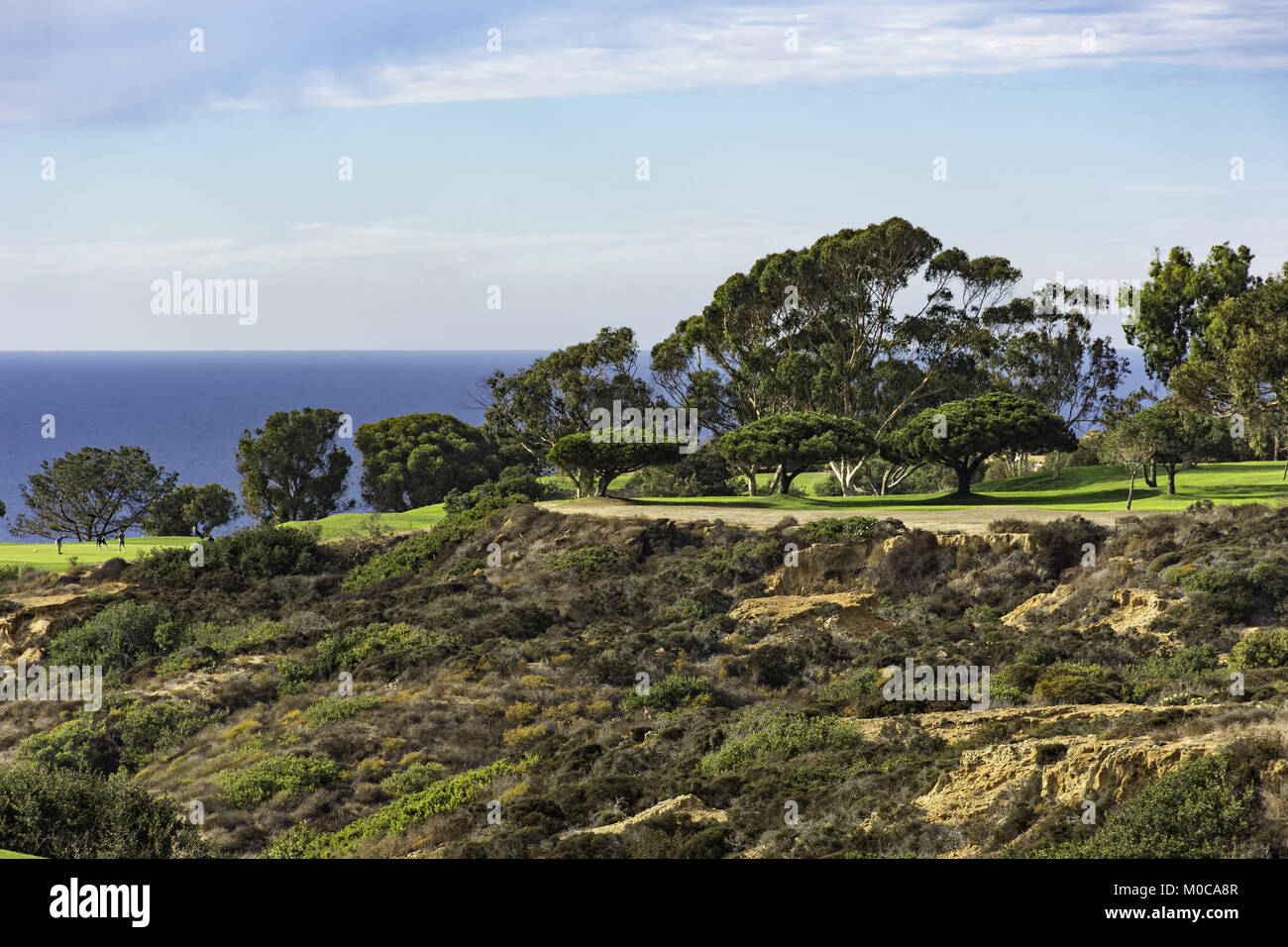 Golf Course at Torrey Pines with cliffs and Pacific Ocean in the background La Jolla California USA near San Diego Stock Photo