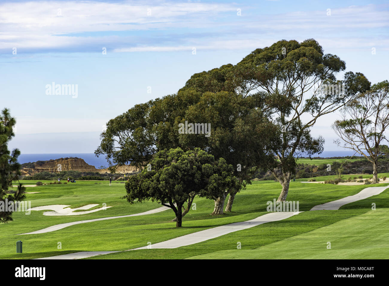 Golf Course at Torrey Pines with Pacific Ocean in the background La Jolla California USA near San Diego Stock Photo