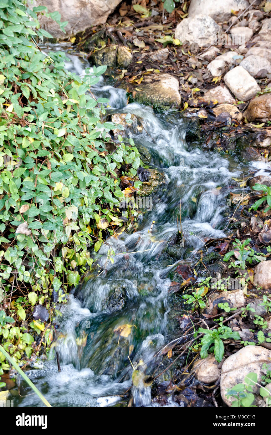 Bushes between rocks hi-res stock photography and images - Alamy