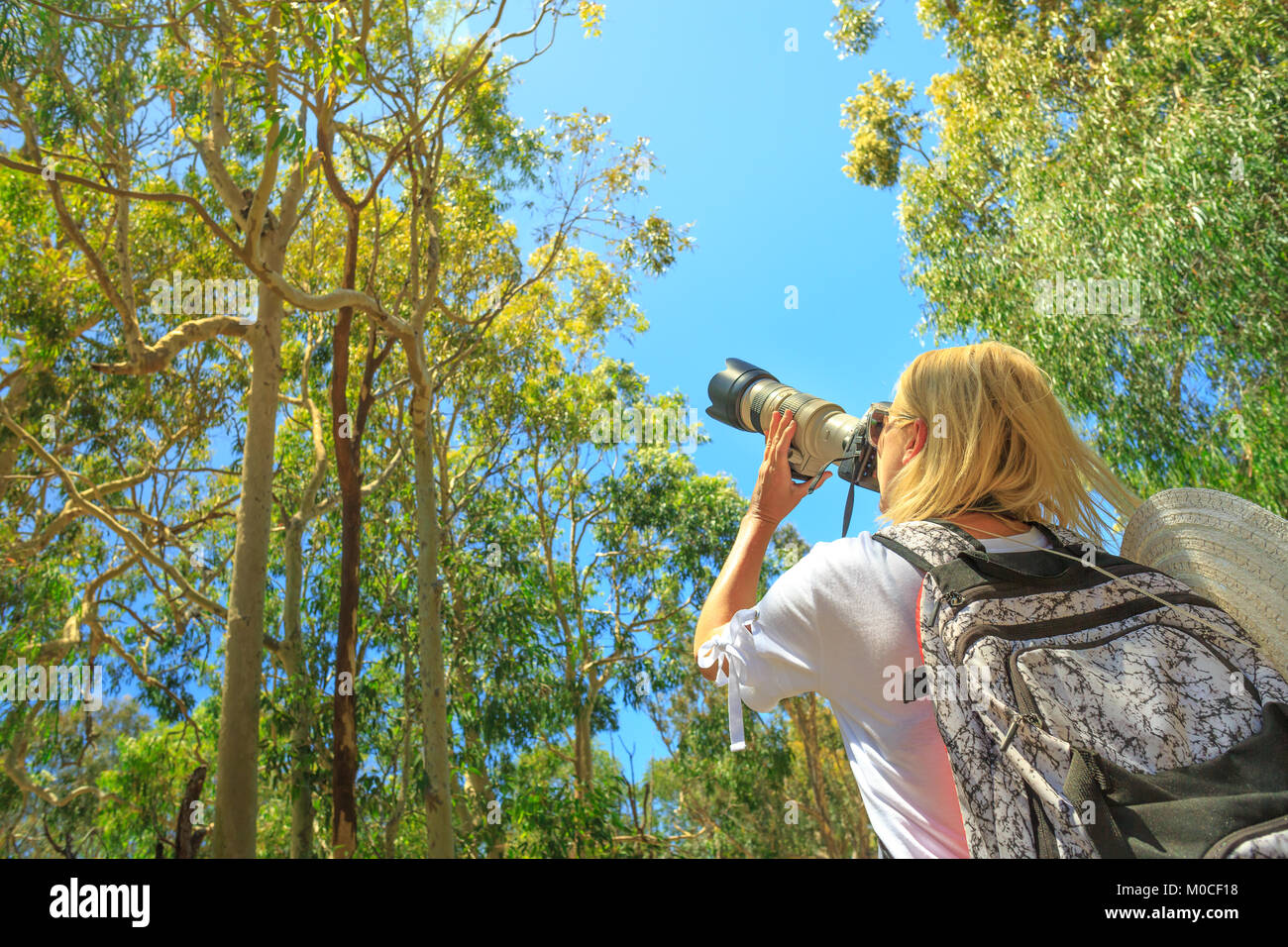 Female wildlife photographer hi-res stock photography and images - Alamy