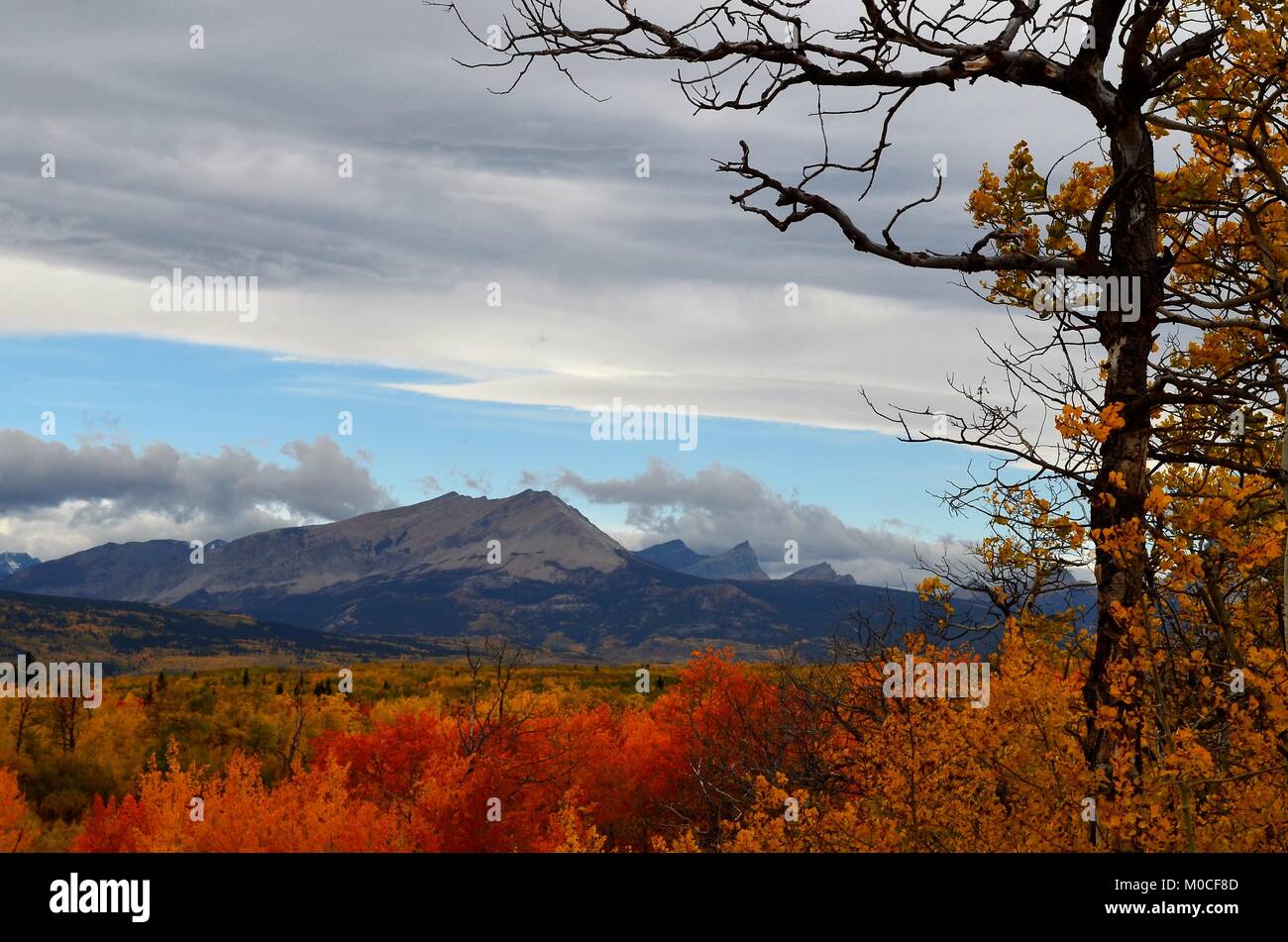 Autumn in the mountains, with an amazing arrangement of fall colors scattering over the landscape Stock Photo