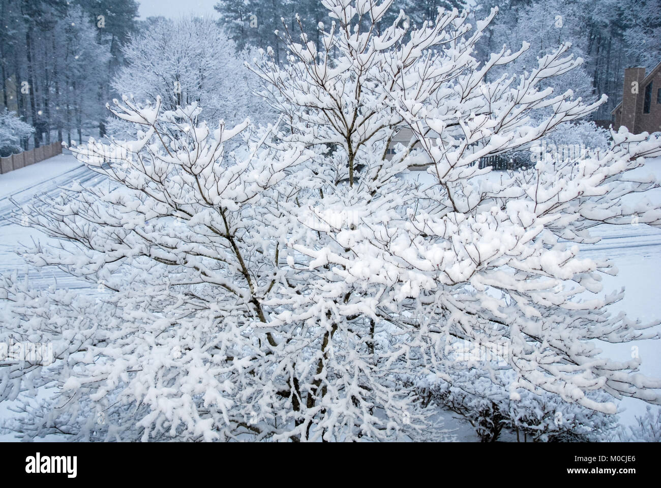 A beautiful blanket of snow covers a neighborhood in Metro Atlanta