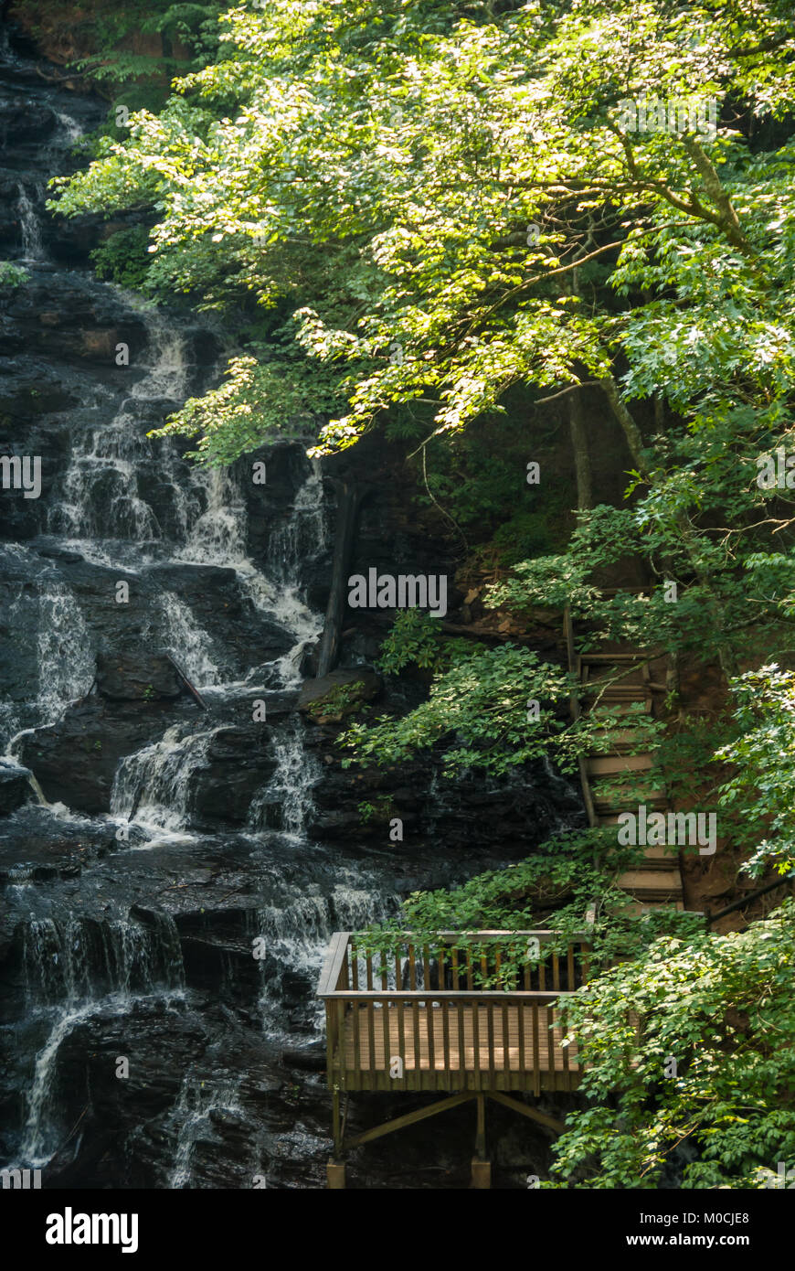 Trahlyta Falls at Vogel State Park in the Blue Ridge Mountains near Blairsville, Georgia. (USA) Stock Photo