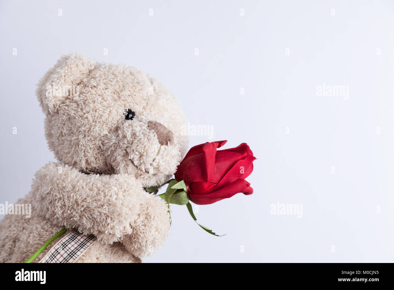 Teddy bear cheap holding a rose