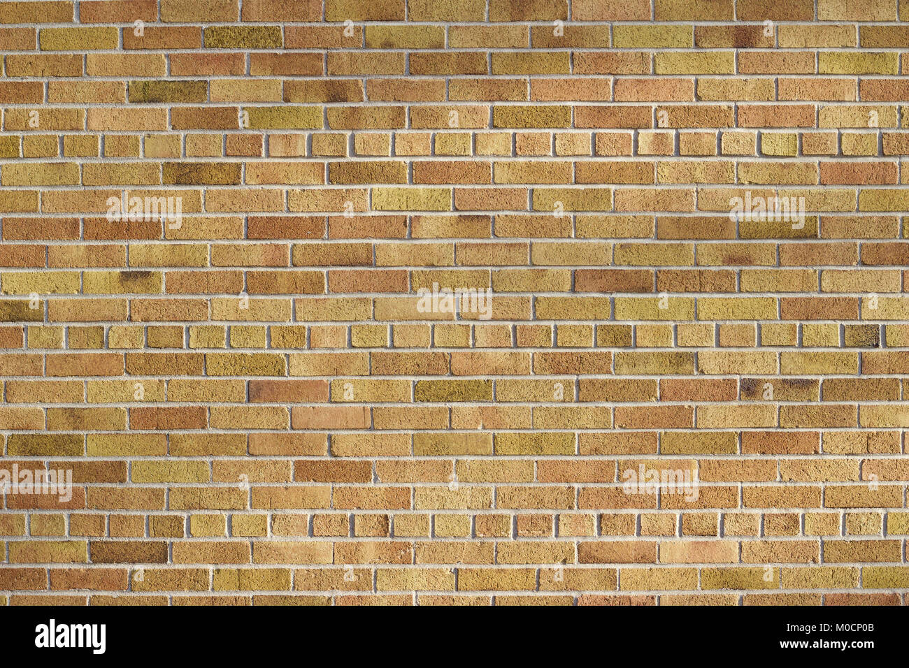 Old shabby chic light brown brick wall background with bricks in