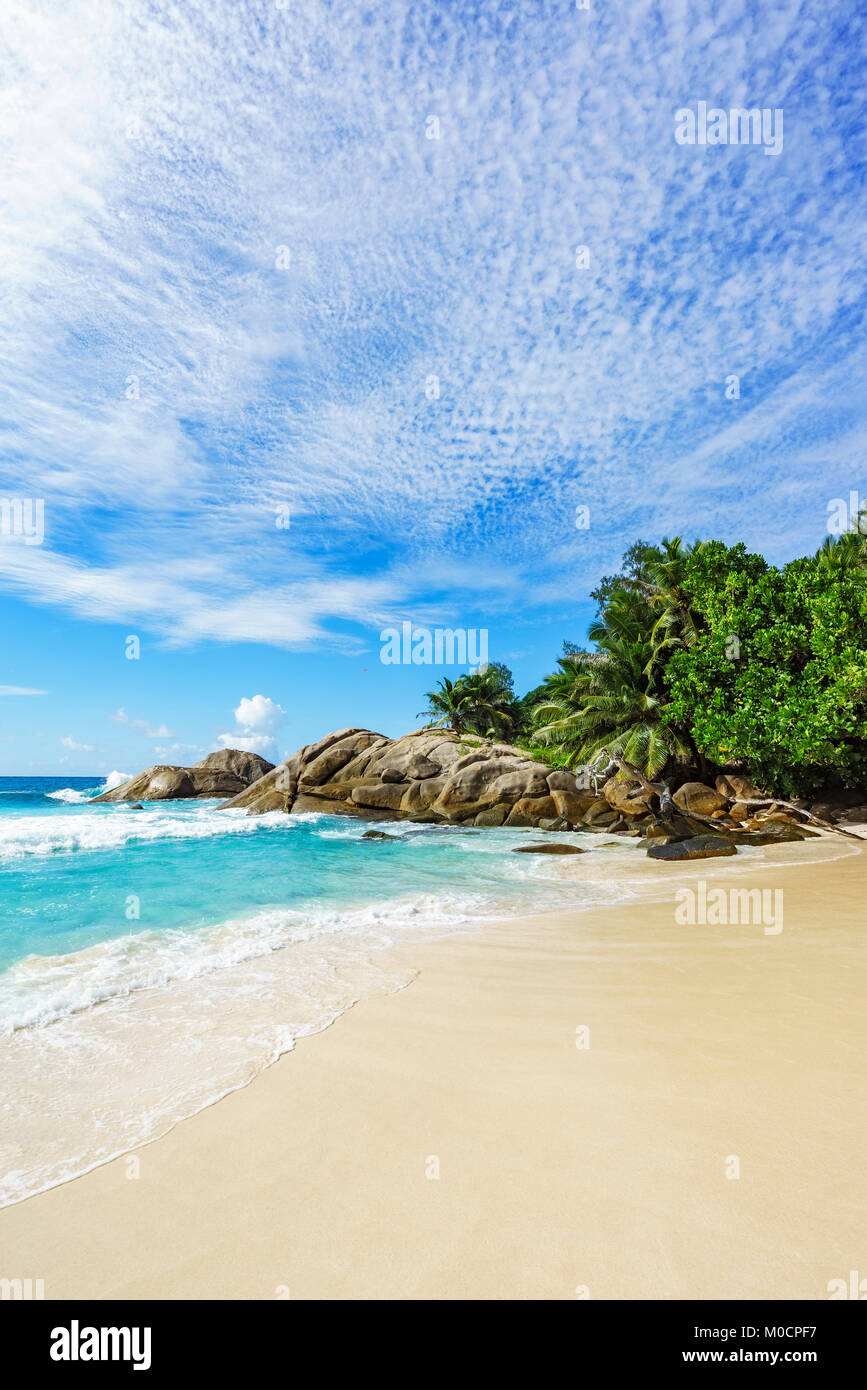 Beautiful and wild lonely beach with rough granite rocks, white sand, palm trees in a jungle and turquoise water of the indian ocean at police bay on  Stock Photo