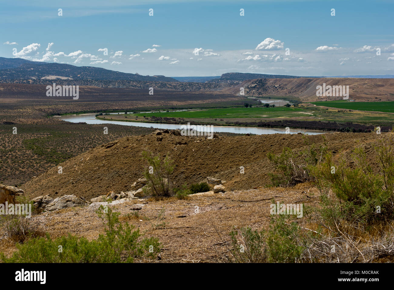 The Green river Stock Photo Alamy