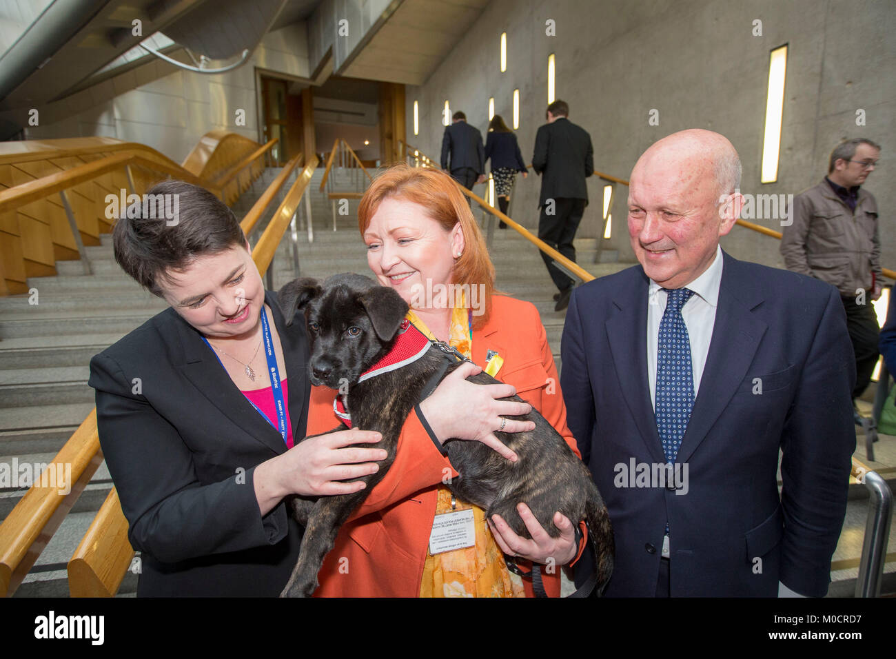 Ruth Davidson MSP with puppy in Scottish Parliament  Pic Peter Devlin Stock Photo