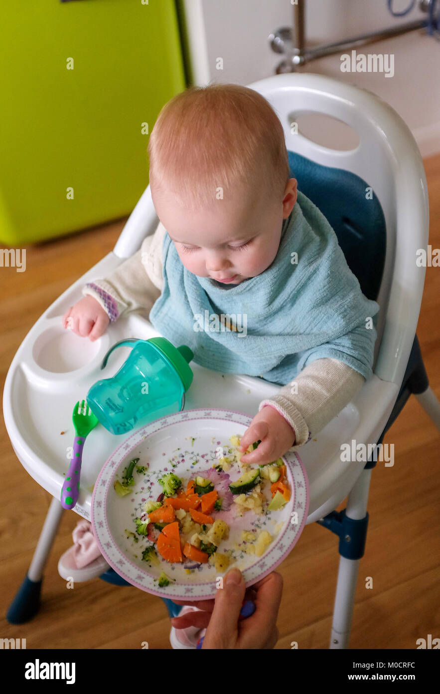 Young baby 1 year old girl toddler eating healthy lunch food of vegetables and fish fingers Stock Photo