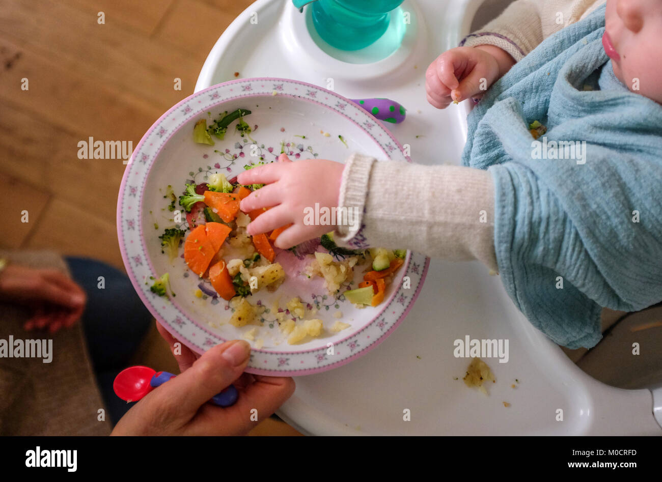 Young baby 1 year old girl toddler eating healthy lunch food of vegetables and fish with her grandmotther Stock Photo
