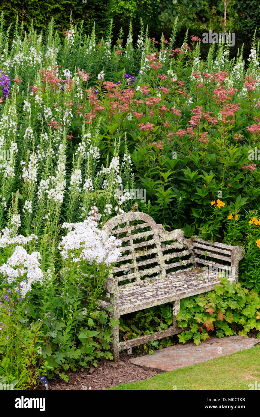 Lutyens designed garden bench encrusted with lichen nestles in a border of tall perennials at The Garden House, Buckland Monachorum, Devon, UK Stock Photo