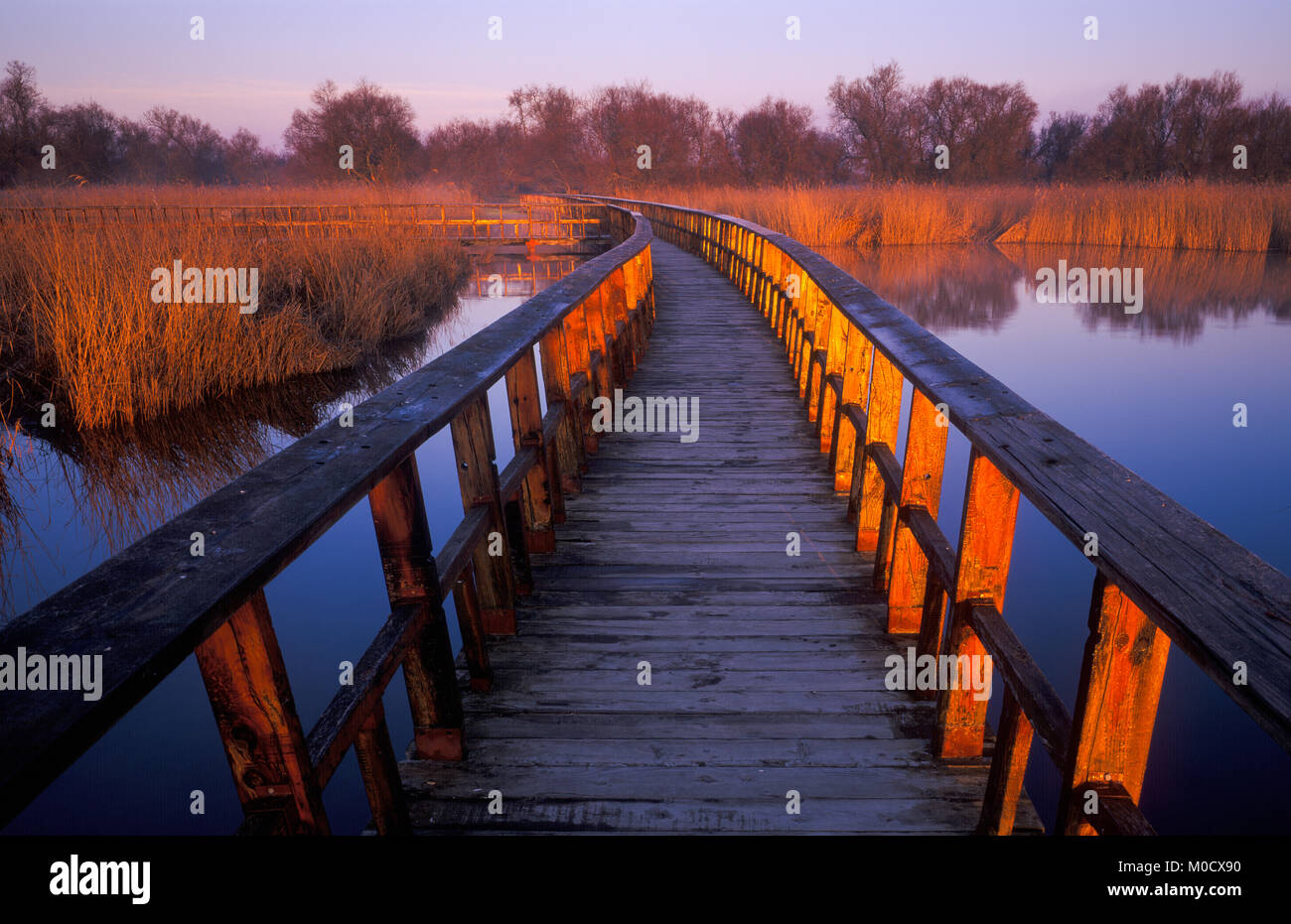 Tablas de Daimiel National Park, Ciudad Real, Castilla La Mancha, Spain, Europe Stock Photo