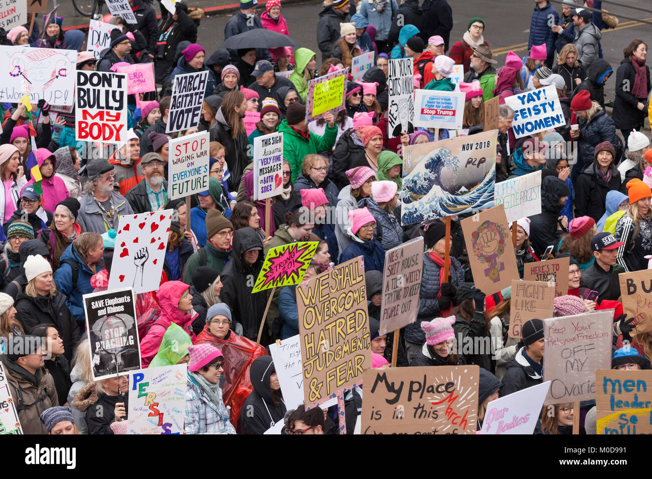 Seattle, Washington: Demonstrators crowd Pine Street at the Seattle Women's March 2.0. Credit: Paul Christian Gordon/Alamy Live News Stock Photo