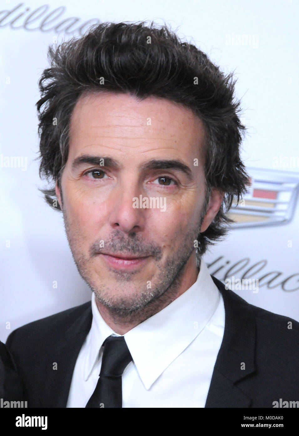 BEVERLY HILLS, CA JANUARY 20 Producer/director Shawn Levy attends