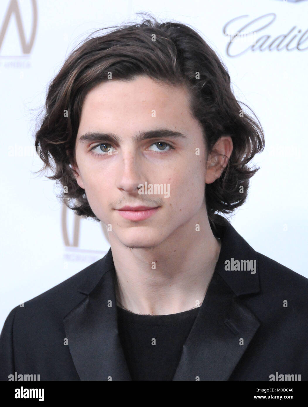 Beverly Hills, Ca - January 20: Actor Timothee Chalamet Attends The 