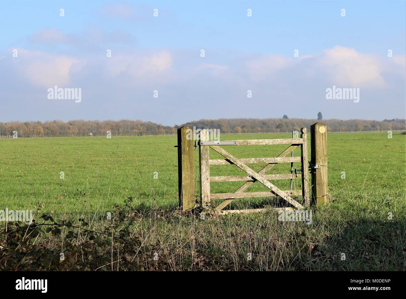 Wooden gate in middle of a green field Stock Photo