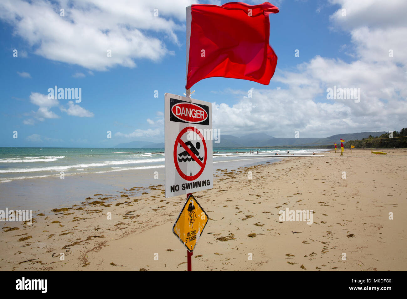 Danger no swimming sign and red flag due to stingers box jellyfish in the ocean,Four mile beach,Port Douglas,Queensland,Australia Stock Photo