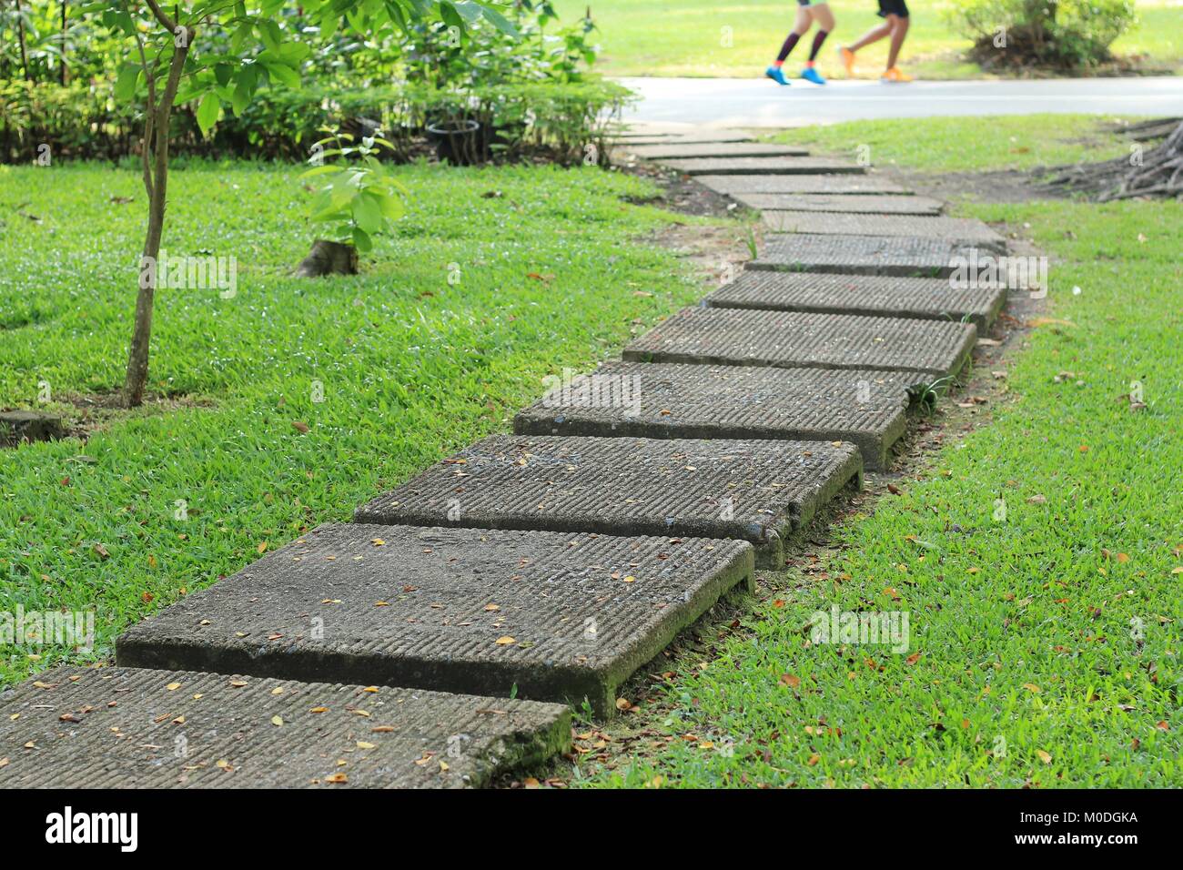 Cement Block Walkway In The Park Stock Photo 172402142 Alamy
