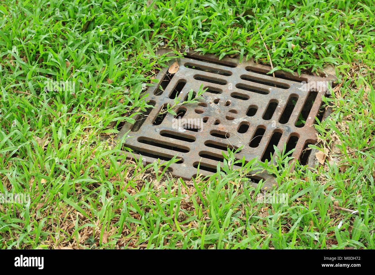 iron grate of water drain in grass garden field Stock Photo