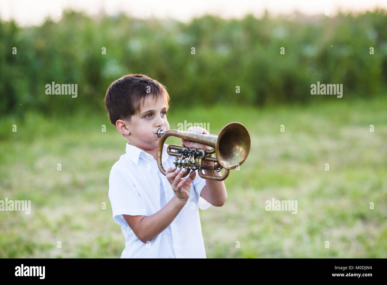 Little boy with musical instrument Stock Photo Alamy
