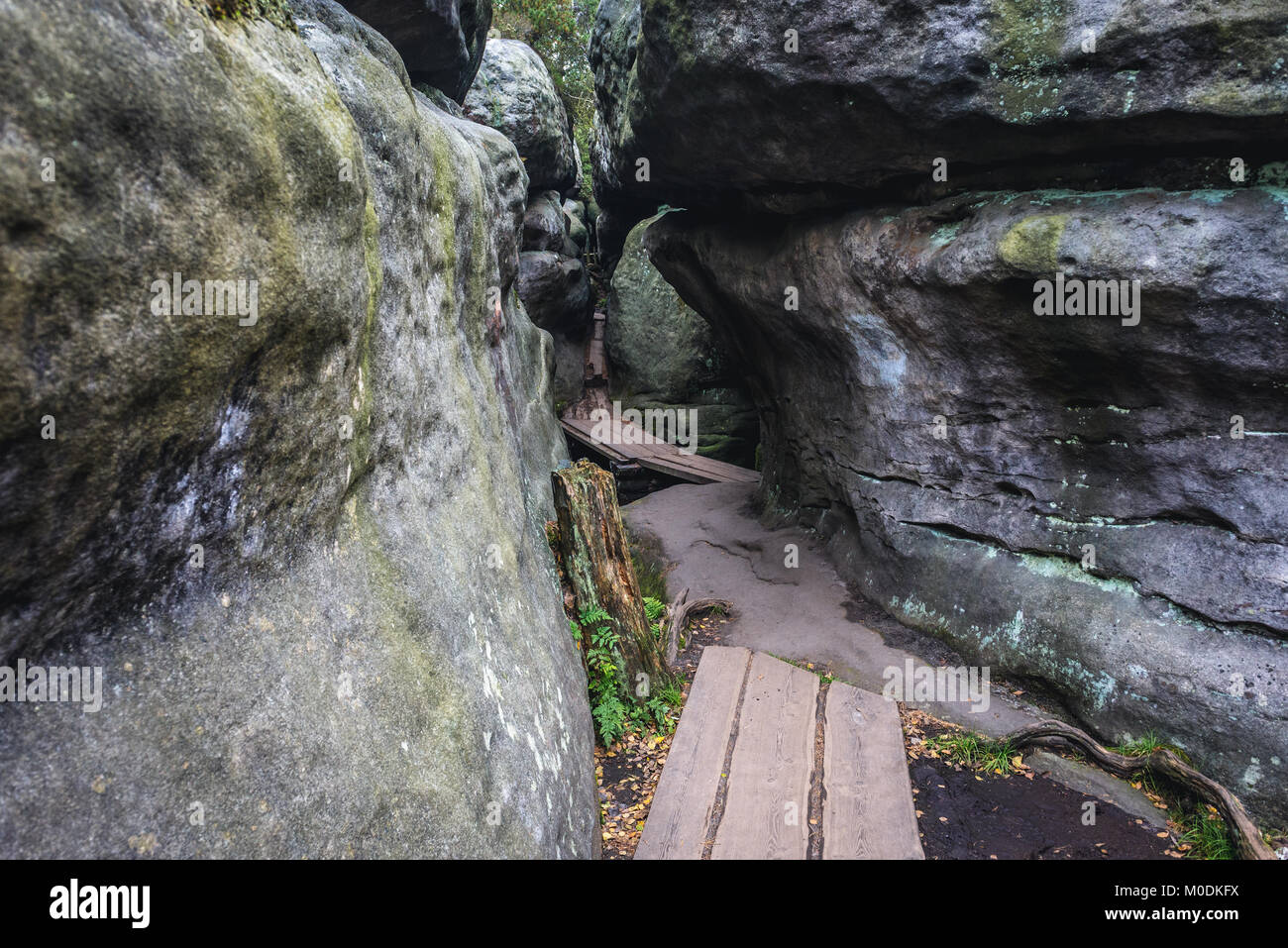 Rock labirynth called Bledne Skaly (Errant Rocks) in Stolowe Mountains ...
