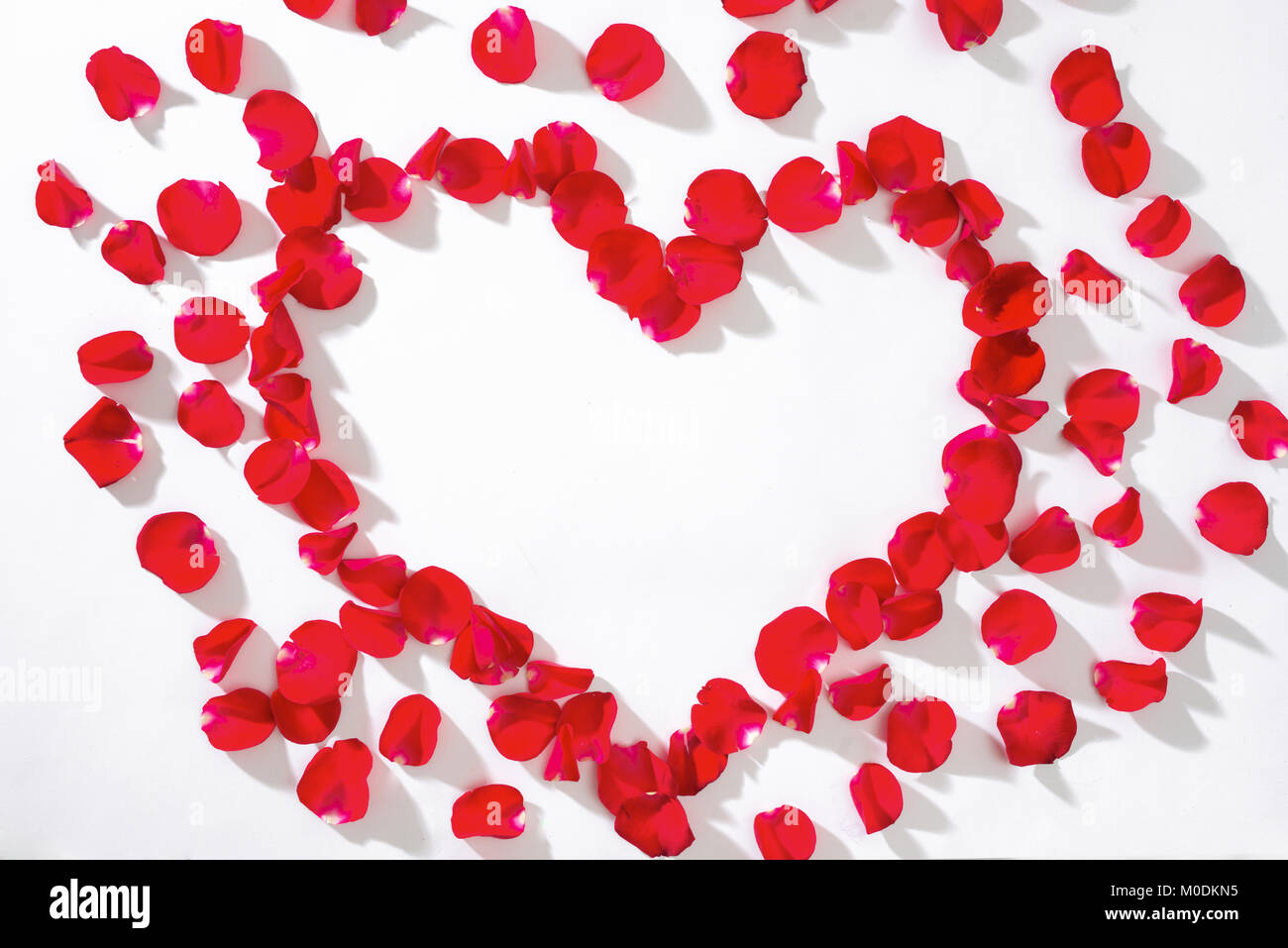 Heart of red rose petals on white background Stock Photo - Alamy
