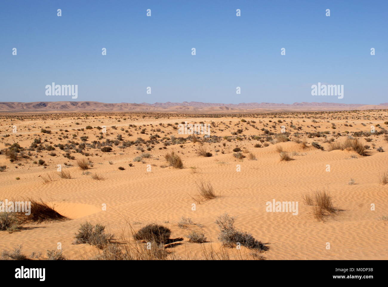 Desert landscape approaching Douz, Kebili district, Tunisia Stock Photo