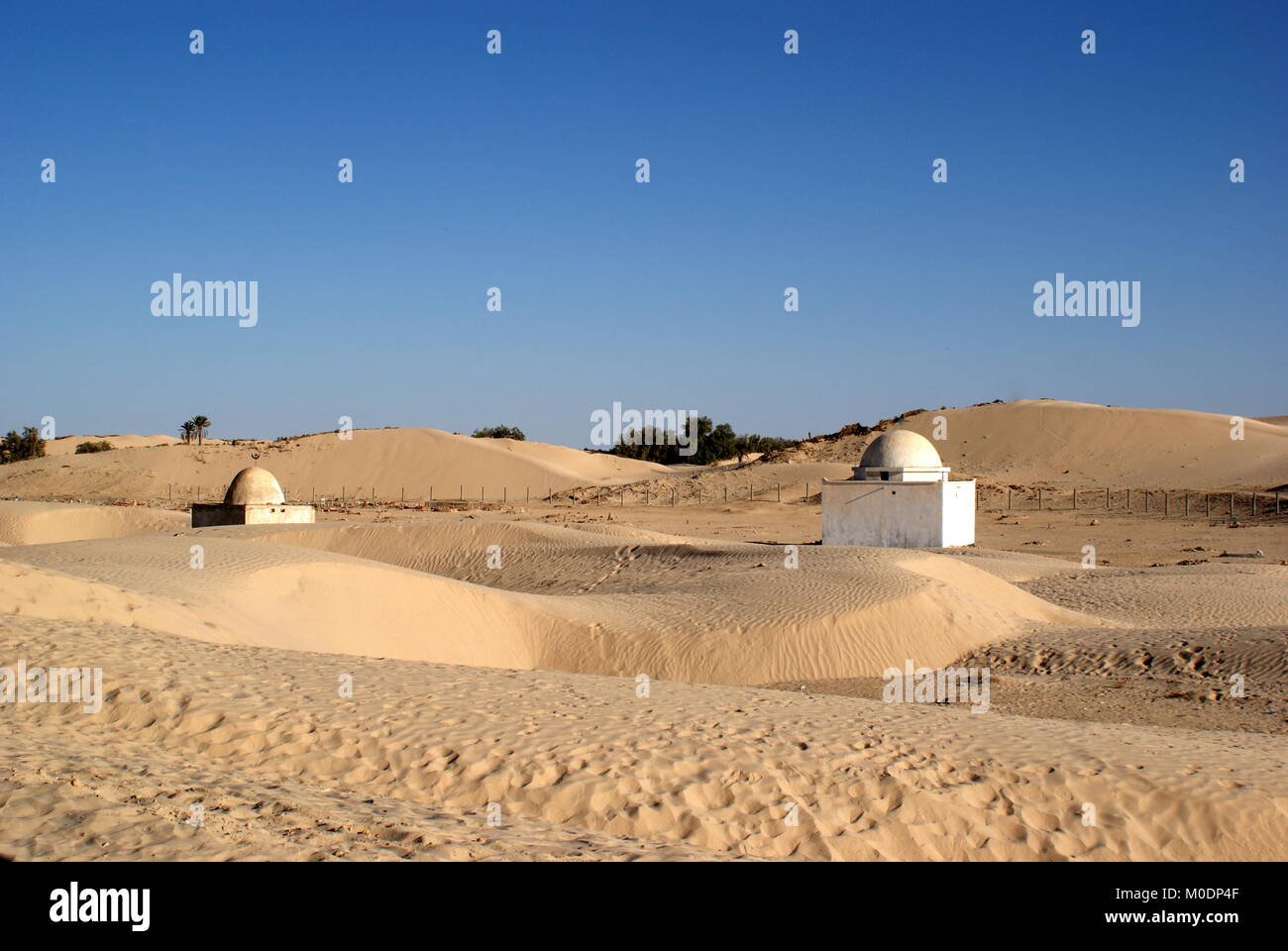 Small white mosques in the desert, near Douz, Kebili district, Tunisia Stock Photo