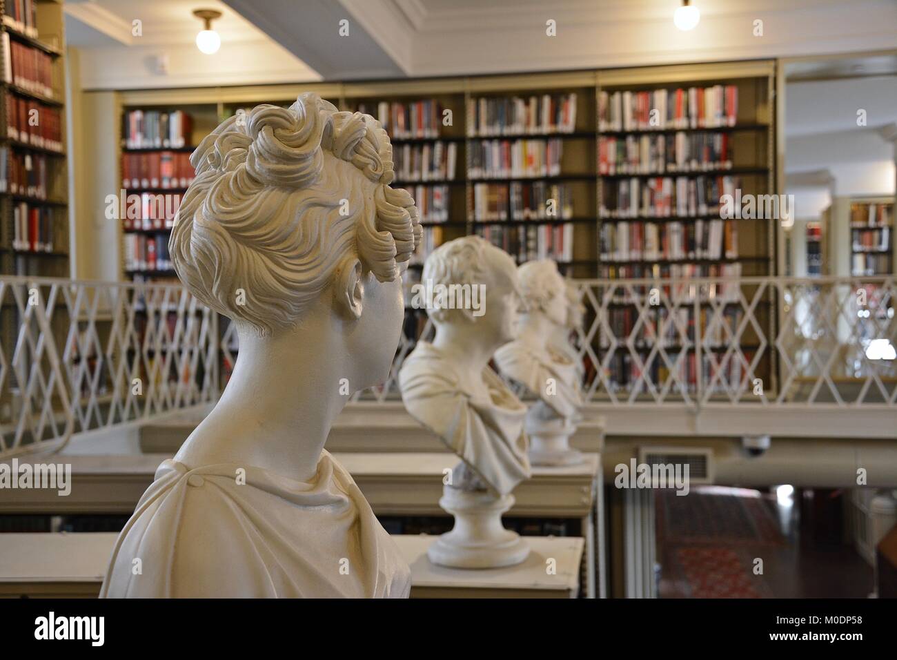 Busts of historical figures atop bookshelves in the Boston Athenaeum