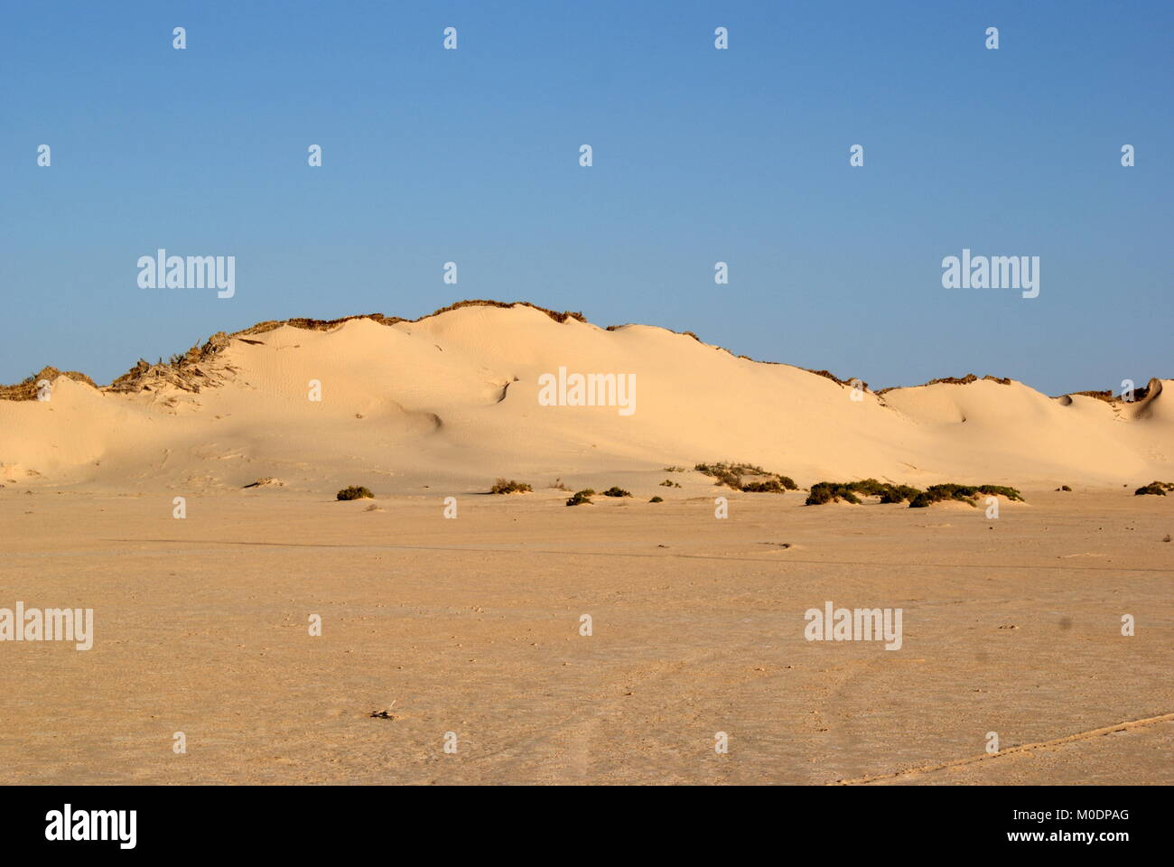 Sand dunes near Douz, Sahara desert, Kebili district, Tunisia Stock Photo