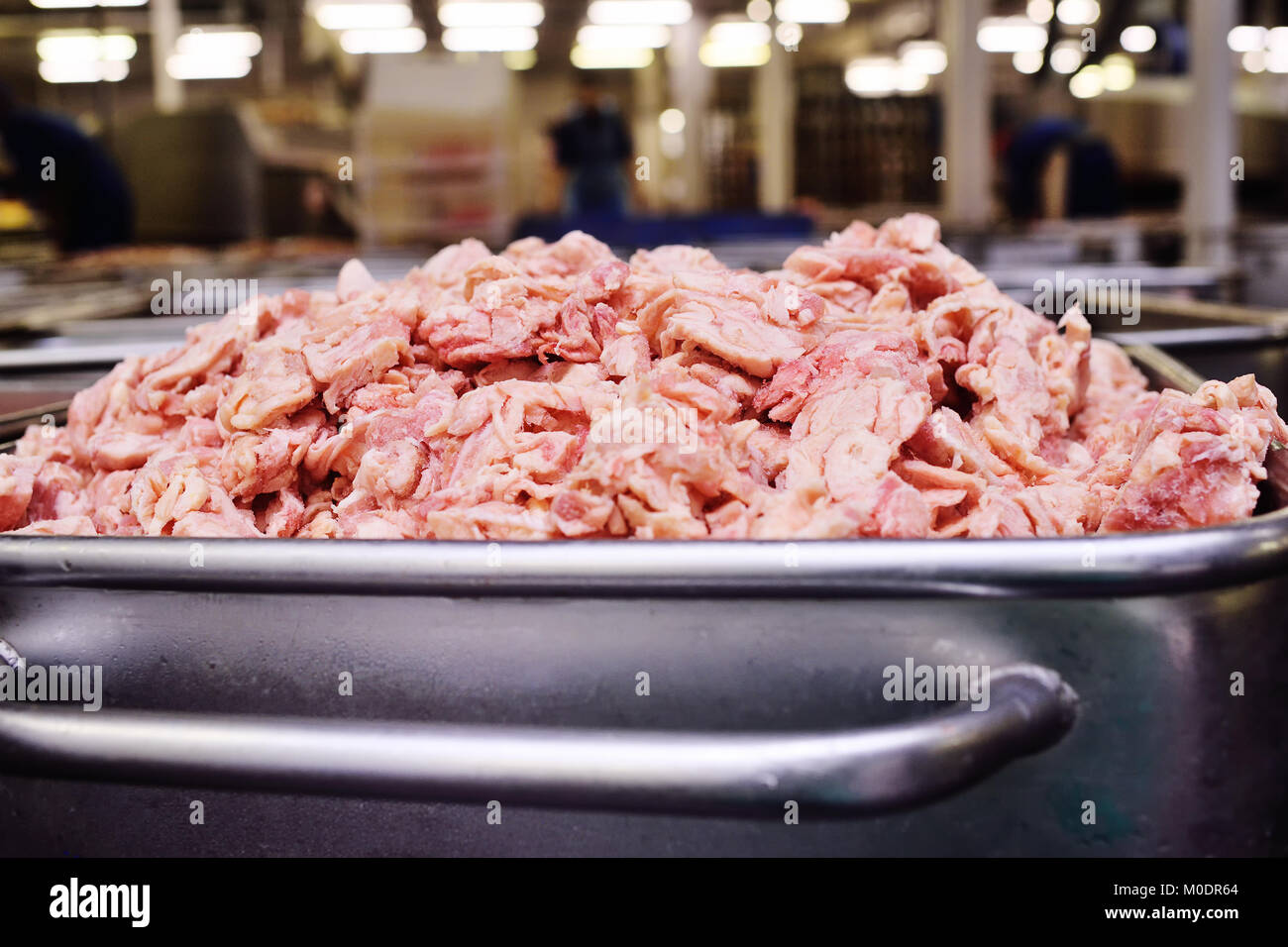 lard, pork or ground beef in metal containers in food production at a