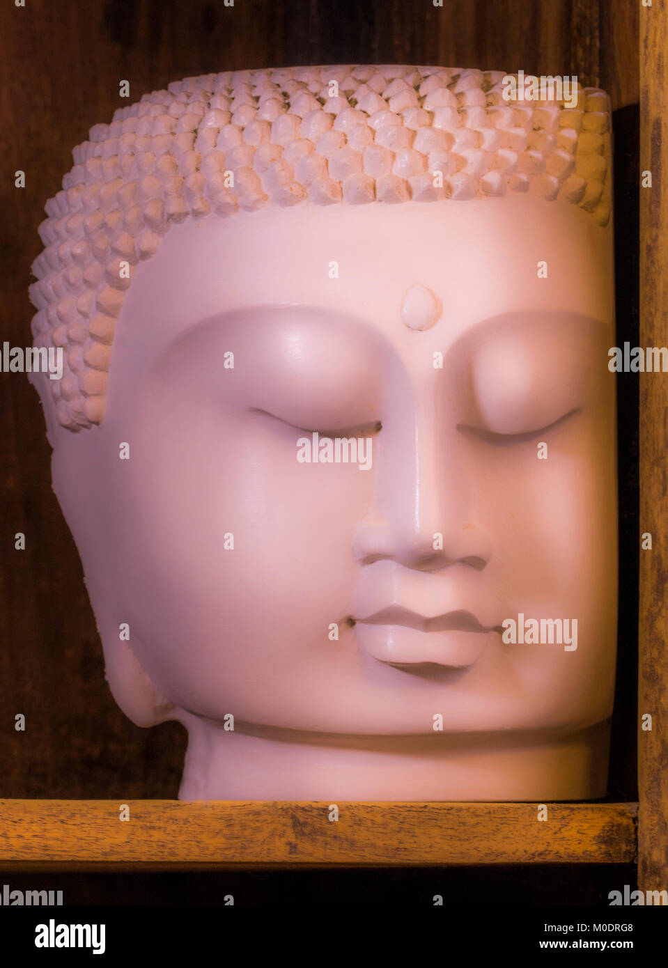 A beautiful, lifelike Buddha head ornament on display, with realistic facial features and eyes closed as if in contemplation. Made from plaster. Stock Photo