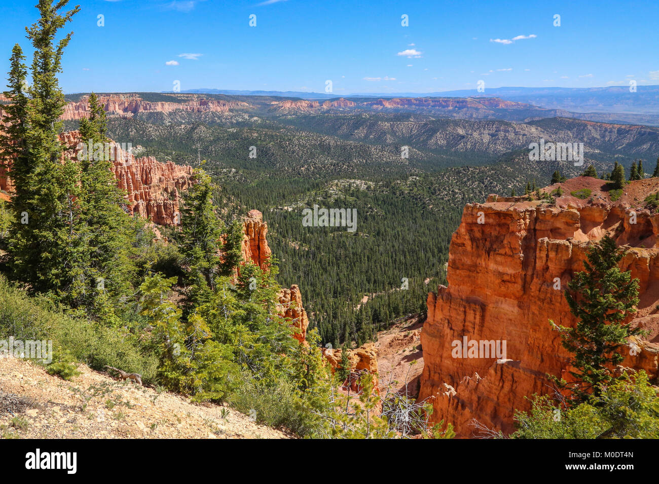 A view from the Bristlecone Loop Trail, Bryce National Park, Kanab, UT Stock Photo