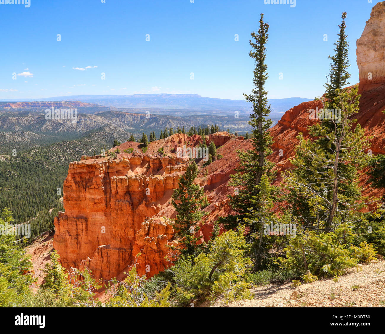 A view from the Bristlecone Loop Trail, Bryce National Park, Kanab, UT Stock Photo