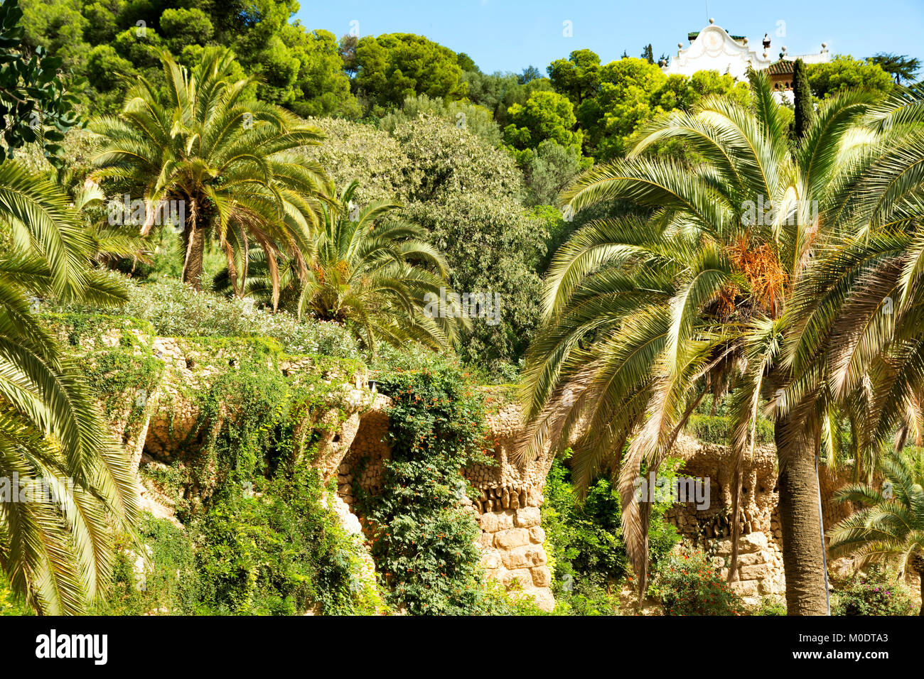Mediterranean vegetation hires stock photography and images Alamy