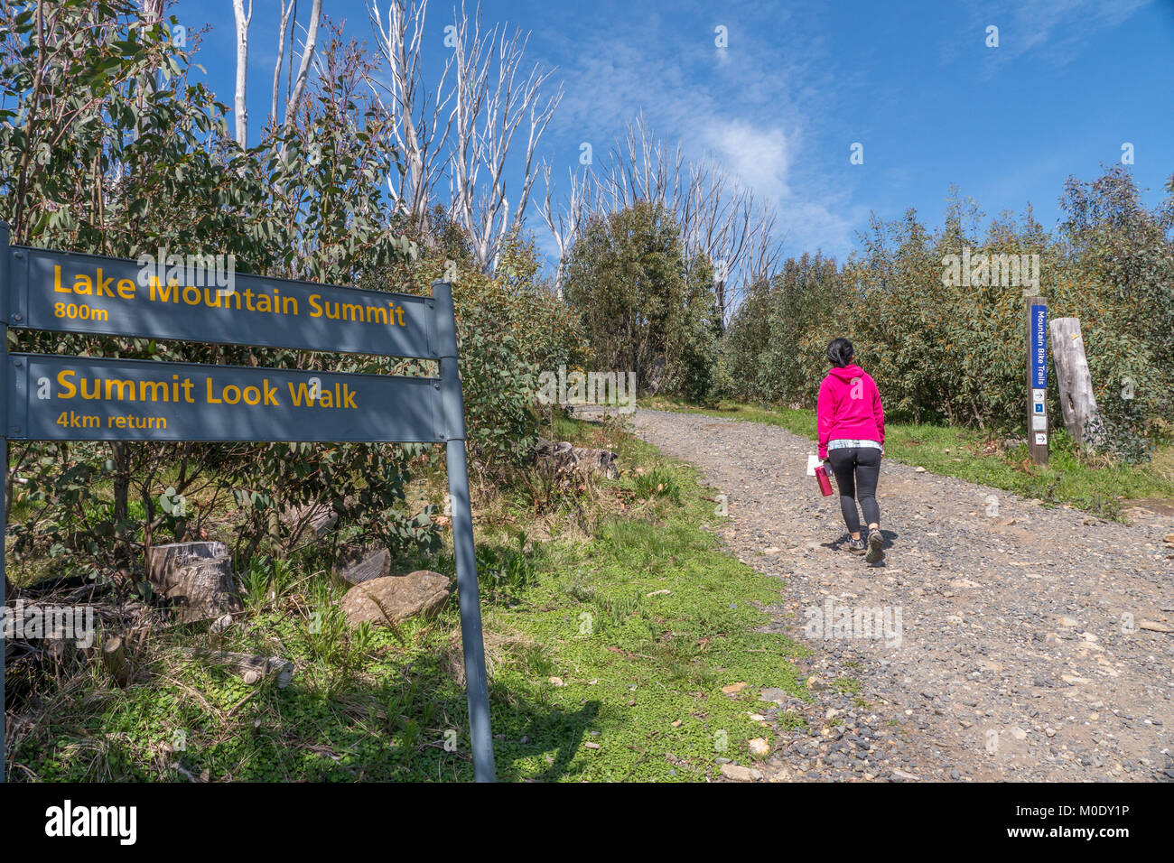 Young Asian female hiker in pink fleece jacket and black pants pointing to lake Mountain Resort trail sign on a sunny day with intense blue sky. Stock Photo
