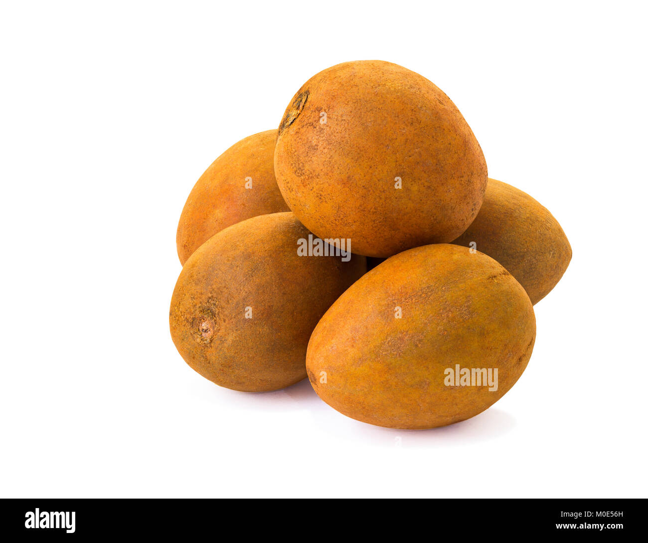 Manilkara zapota, sweet fruit commonly known as the sapodilla Stock Photo