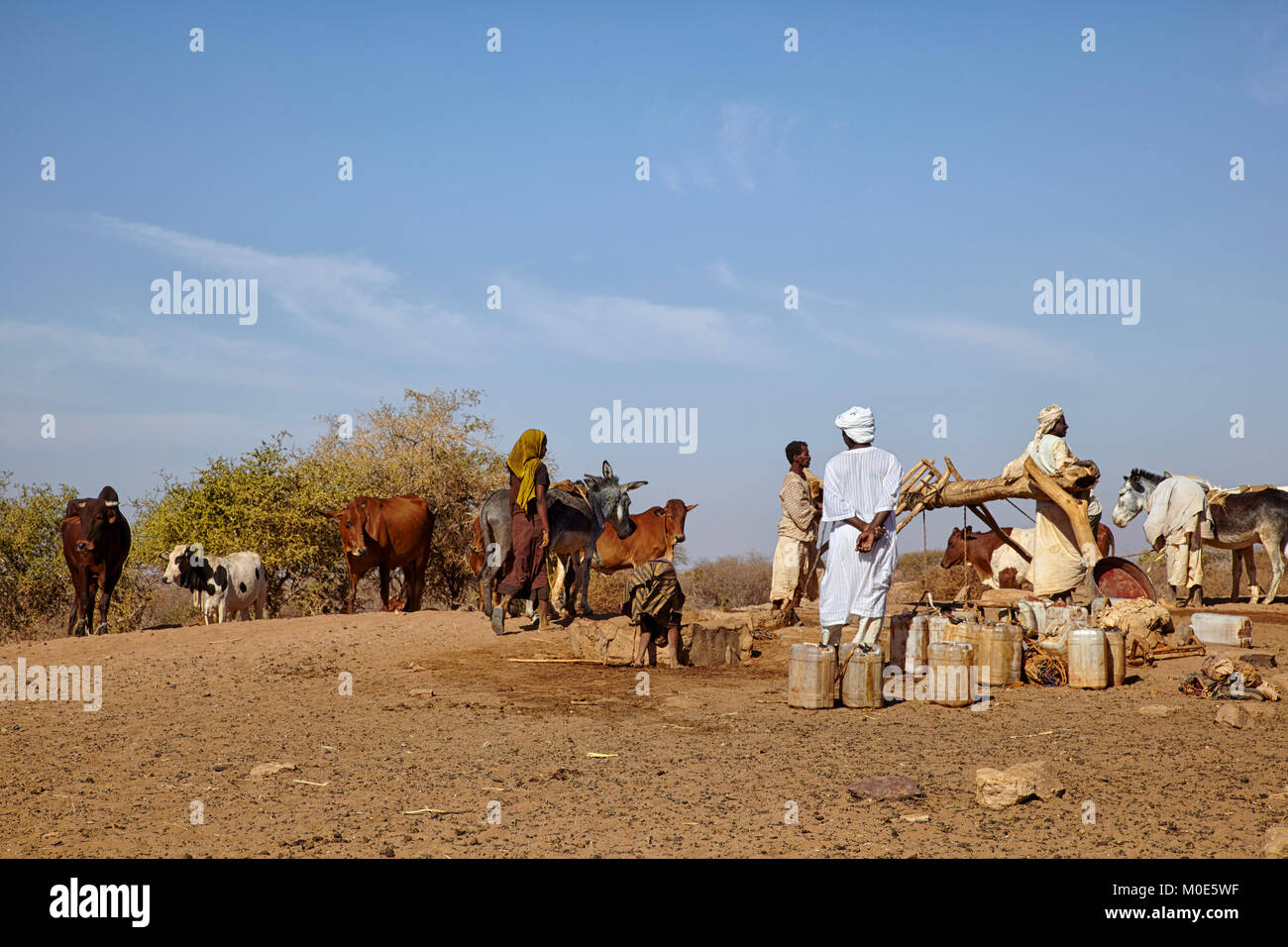 People fetching water from a well with a donkey near Naqa, Sudan (North Sudan), Africa Stock Photo