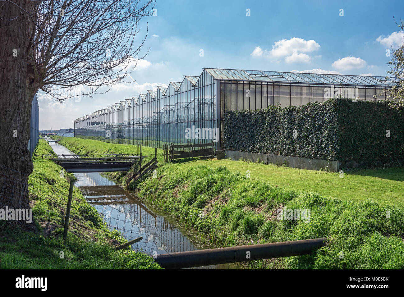 Agriculture netherlands greenhouse hires stock photography and images