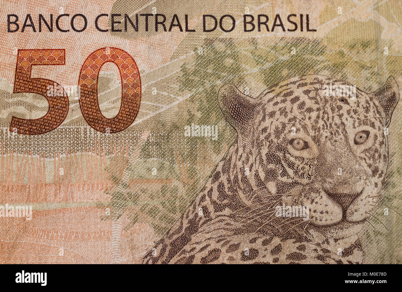 50 (fifty) Brazilian Real note closeup macro, showing Jaguar animal, bill value and Central bank of brazil phrase Stock Photo