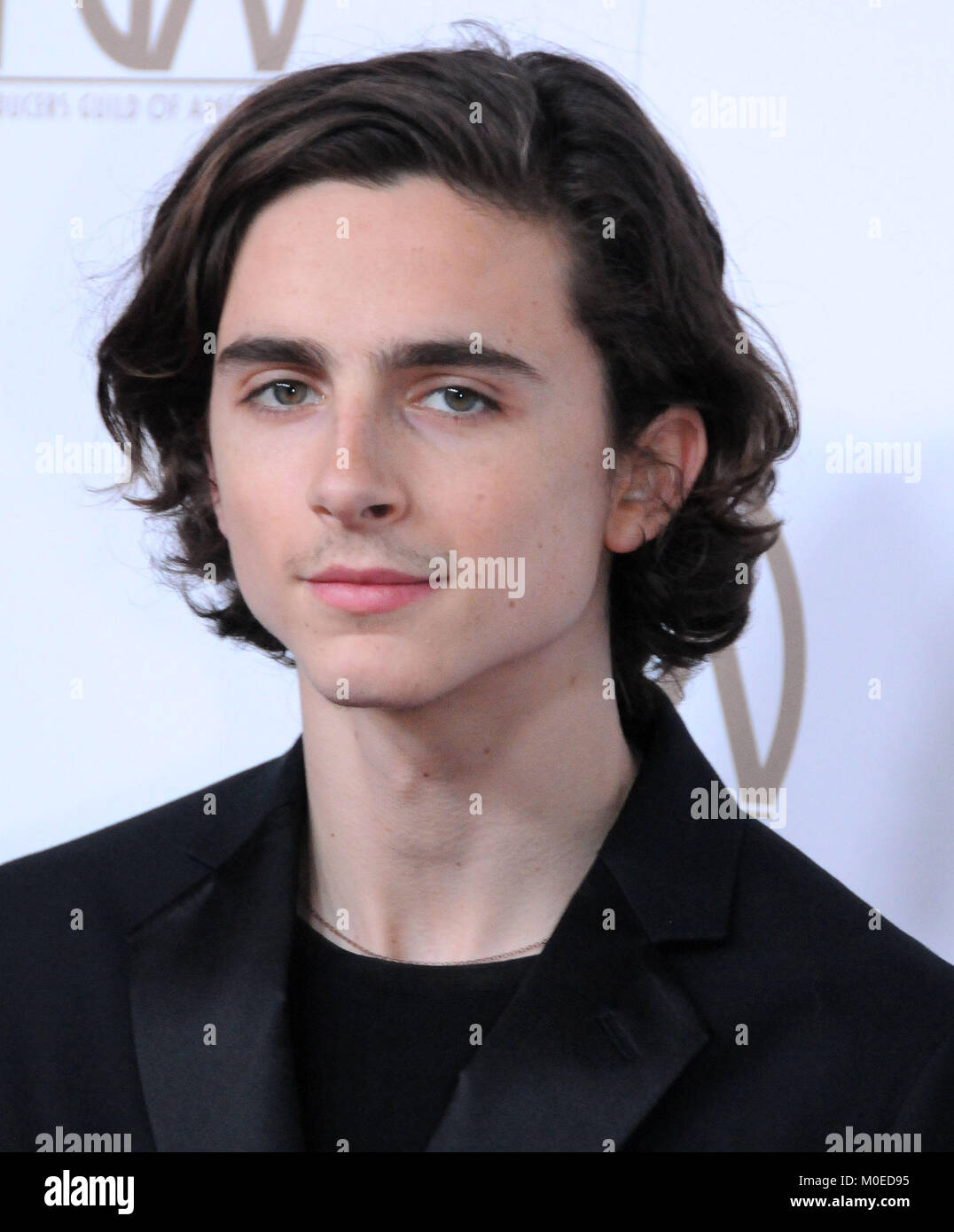 BEVERLY HILLS, CA - JANUARY 20: Actor Timothee Chalamet attends the 2018 Annual Producers Guild Awards at the Beverly Hilton Hotel on January 20, 2018 in Beverly Hills, California. Photo by Barry King/Alamy Live News Stock Photo