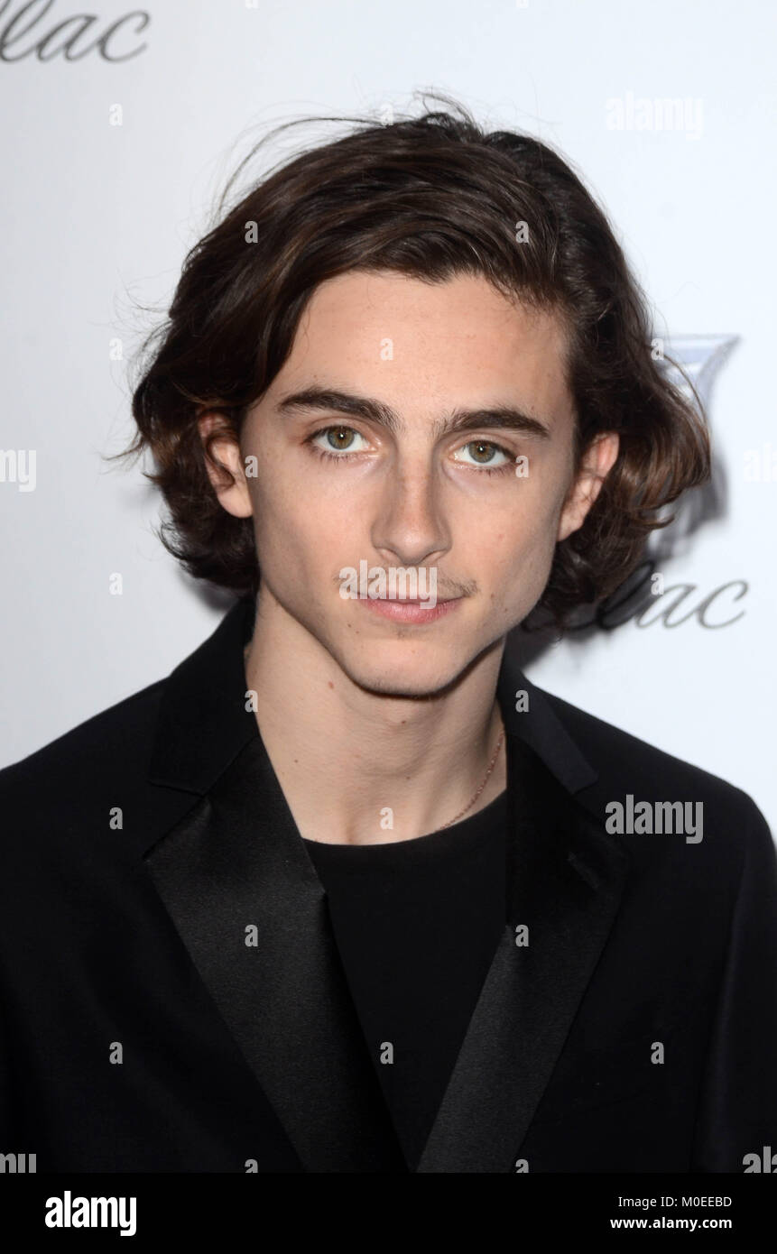 California, USA. 21st Jan, 2018. Timothee Chalamet at the 2018 ...