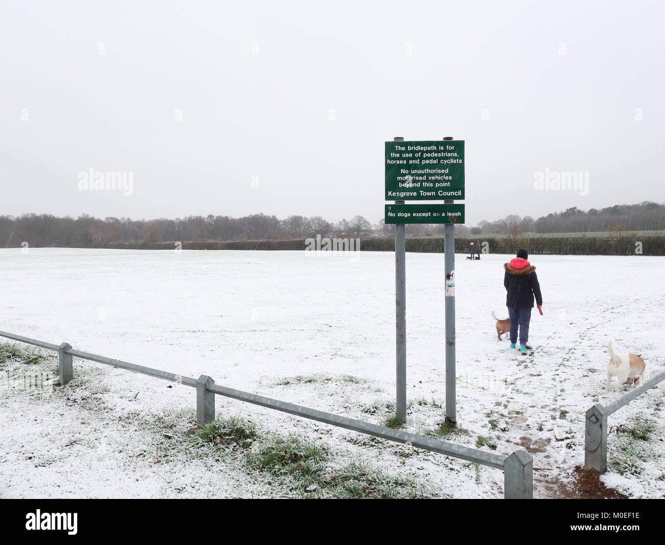 UK Weather: Light snow on Sunday afternoon in Kesgrave, Suffolk. Credit: Angela Chalmers/Alamy Live News Stock Photo