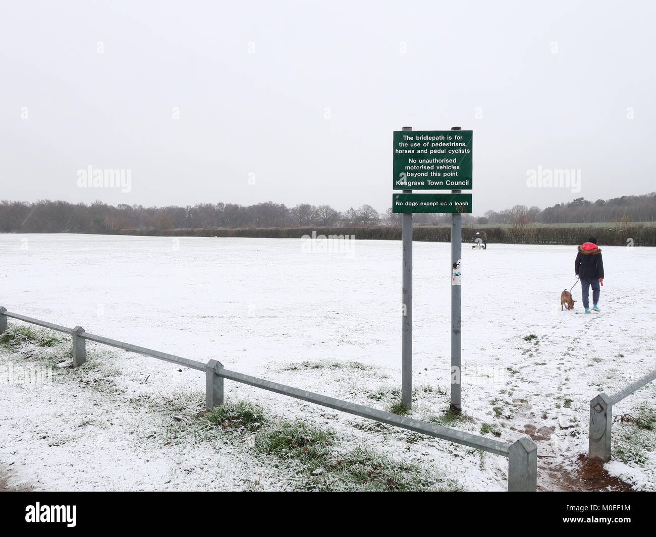 UK Weather Light snow on Sunday afternoon in Kesgrave, Suffolk. Credit