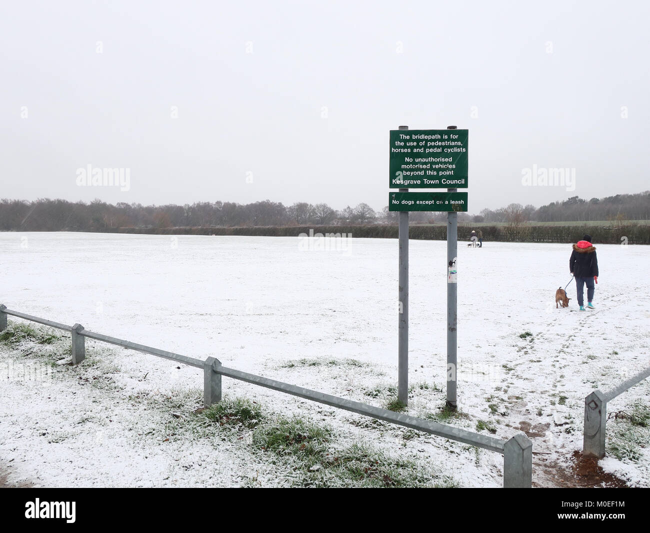 UK Weather: Light snow on Sunday afternoon in Kesgrave, Suffolk. Credit: Angela Chalmers/Alamy Live News Stock Photo