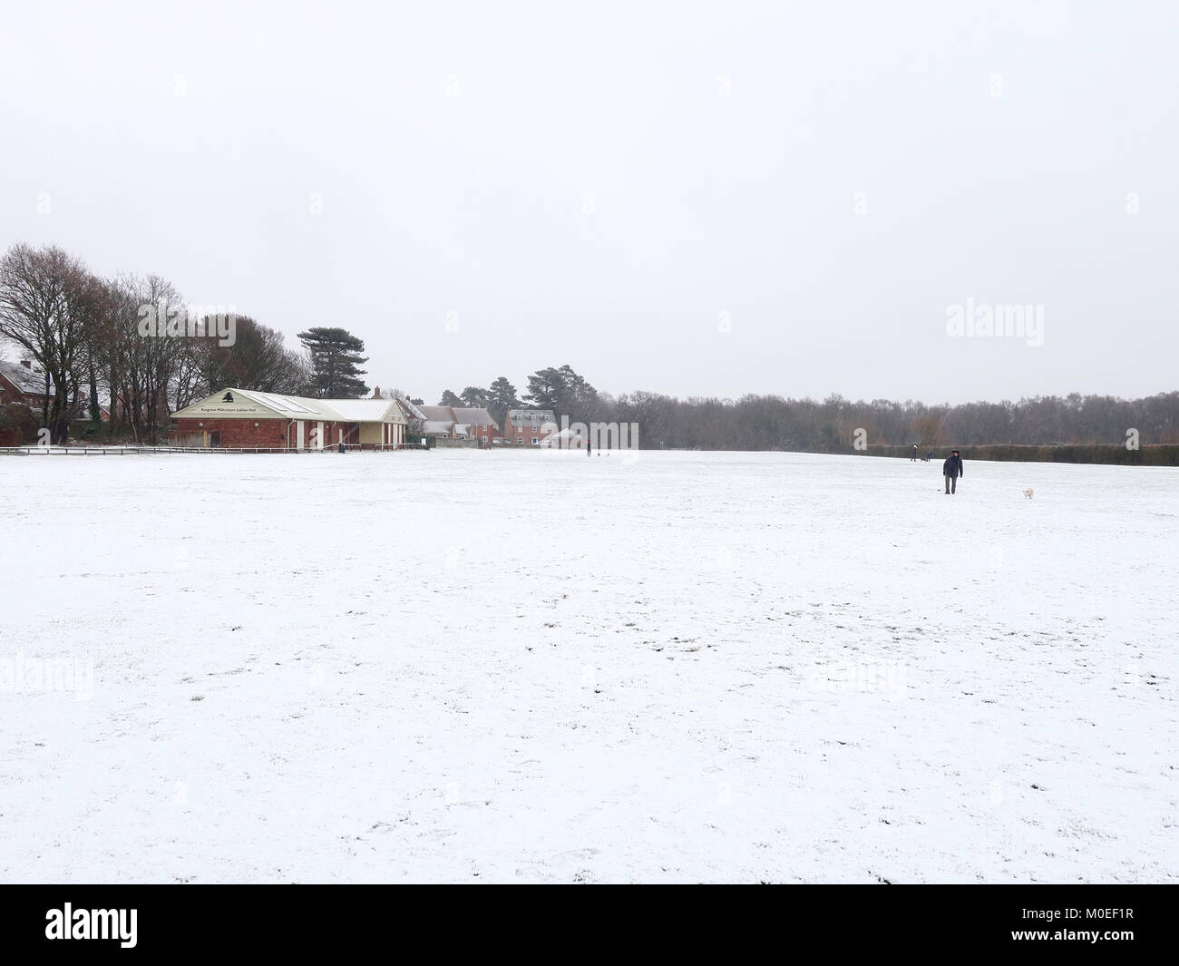 Angela chalmers hires stock photography and images Alamy