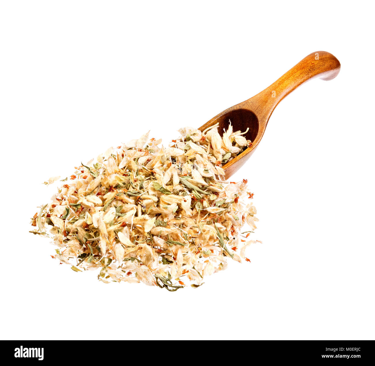Flowers of Astragalus root on the wooden spoon. Stock Photo