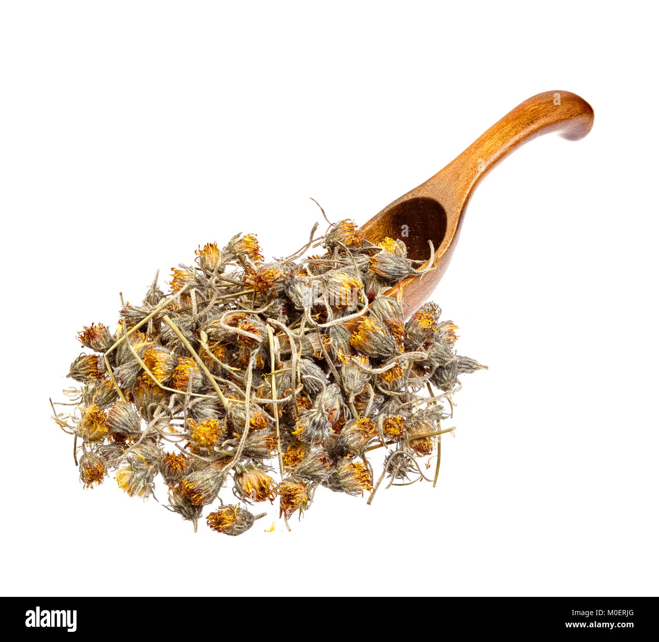 Dried Hawkweed flowers on the wooden spoon. Stock Photo