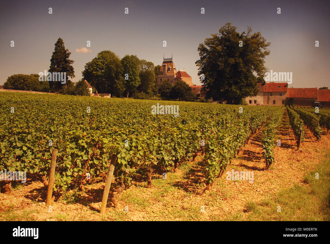 Chateau Aloxe-Corton and Vineyards near Beaune Burgundy France Stock Photo